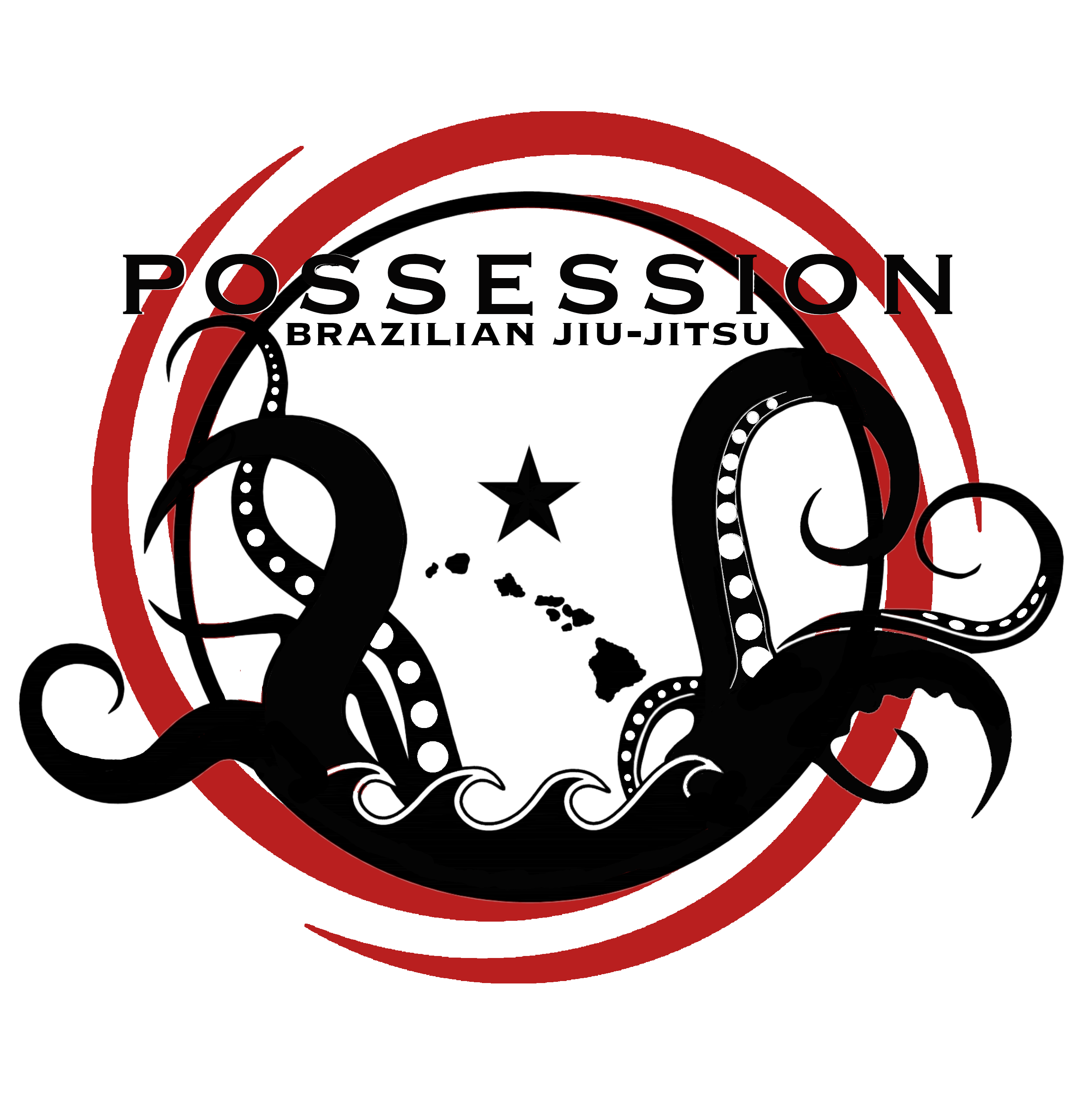 Possession BJJ